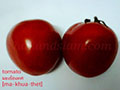 tomato ������� [ma-khua-thet]
